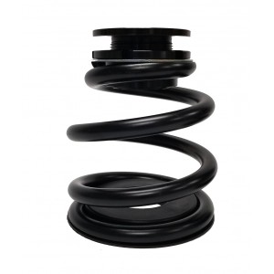 Rear Coilover Spring Upgrade Kit for MK1 Audi TT Quattro & 2004 VW R32 - EC-VW005-RU Rear Coilover Spring Upgrade Kit for MK1 Audi TT Quattro & 2004 VW R32 - EC-VW005-RU